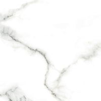 Керамогранит (плитка грес) Netto Carrara Polished 600x600