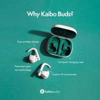 Наушники Kaiboaudio Kaibo Buds