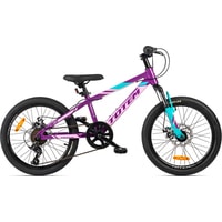 Детский велосипед Totem Sunshine 20 2021 (фиолетовый)