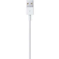 Кабель Apple USB 2.0 Type-A - Lightning (1 м, белый)