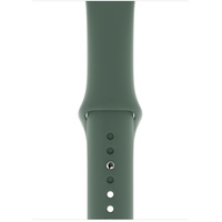 Умные часы Apple Watch Series 5 44 мм (серебристый алюминий/зеленый спортивный)