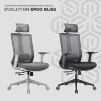Кресло Evolution ERGO BLISS Black (черный)