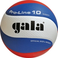 Волейбольный мяч Gala Pro Line 10 BV 5581 S (5 размер, белый/синий/красный)