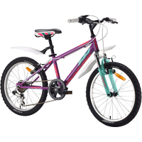 Детский велосипед Racer Turbo 20 (фиолетовый, 2017)