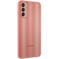 Смартфон Samsung Galaxy F13 SM-E135F/DS 4GB/64GB (медный)