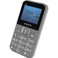 Кнопочный телефон Maxvi B200 (серый)