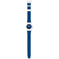 Наручные часы Swatch Squirolino LW152