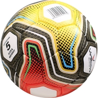 Футбольный мяч Vintage Multistar V900