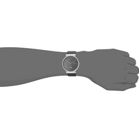 Наручные часы Skagen SKW6320