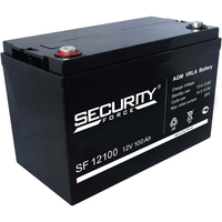 Аккумулятор для ИБП Security Force SF 12100 (12В/100 А·ч)