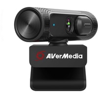Веб-камера AverMedia PW315