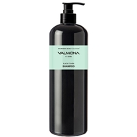 Шампунь Valmona Ayurvedic Scalp Solution Black Cumin Shampoo 480 мл