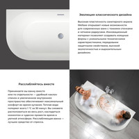 Ванна Wellsee Belle Spa 3.0 170x80 202010443 (пристенная ванна белый глянец с худ. изображением, экран, ножки, сифон-автомат хром)