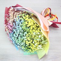 Цветы, букеты LaRose Букет из гипсофилы Градиент
