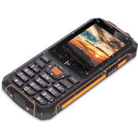 Кнопочный телефон F+ R280C (черный/оранжевый)
