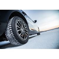 Зимние шины Ikon Tyres Hakkapeliitta 9 205/55R17 95T (run-flat)