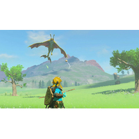 The Legend of Zelda: Tears of the Kingdom для Nintendo Switch