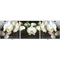 Фронтальный экран под ванну Comfort Alumin Орхидея на черном 3D 1.5