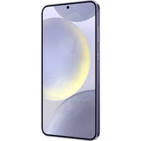 Смартфон Samsung Galaxy S24+ 12GB/256GB SM-S9260 Snapdragon (фиолетовый)