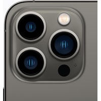 Смартфон Apple iPhone 13 Pro Dual SIM 256GB (графитовый)