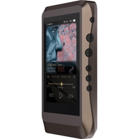 Hi-Fi плеер iBasso DX120 (коричневый)