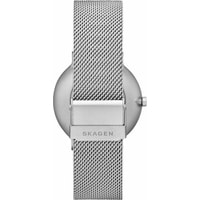 Наручные часы Skagen SKW6584