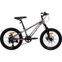Детский велосипед Lorak Safe 20 (серый/красный)