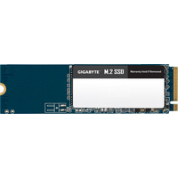 SSD Gigabyte M.2 SSD 1TB GM21TB