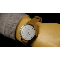 Наручные часы Skagen SKW2146