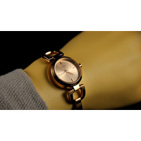 Наручные часы DKNY NY8542