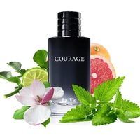 Парфюмерная вода Dilis Parfum Courage EdP (100 мл)