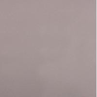 Рулонные шторы АС ФОРОС Плейн 7502 43x175 (светло-серый)