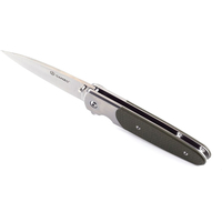 Складной нож Ganzo G743-2-GR