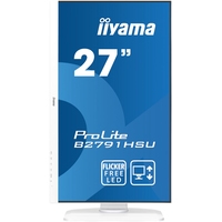 Монитор Iiyama ProLite B2791HSU-W1