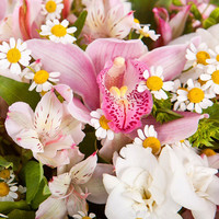 Цветы, букеты Bloom Букет «Порхание лепестков»