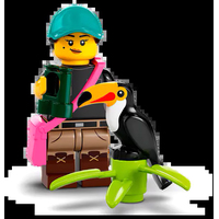 Конструктор LEGO Minifigures 71032 Серия 22