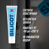  ВМПАВТО Silicot 30 г 2301