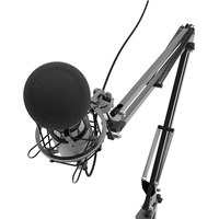 Проводной микрофон Ritmix RDM-180