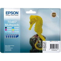 Картридж Epson EPT04874010 (C13T04874010)