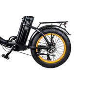 Электровелосипед Minako F11 001161 (черный)