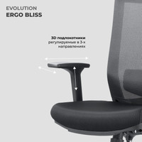 Кресло Evolution ERGO BLISS Black (черный) в Витебске
