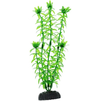 Искусственное растение Barbus Элодея Plant 004/30 (зеленый)