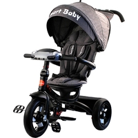 Детский велосипед Smart Baby Expert TS1D (серо-коричневый)
