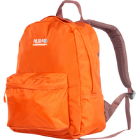Городской рюкзак Polar П1611 (оранжевый)