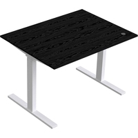 Стол для работы стоя Kulik System E-Desk (черный/белый)