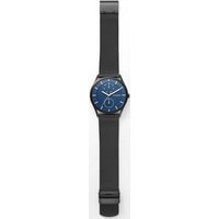 Наручные часы Skagen SKW6450