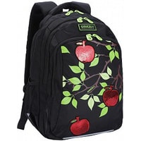 Школьный рюкзак Grizzly RG-062-1/3 (черный)