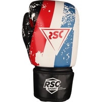 Перчатки для бокса RSC Sport Hit PU SB-01-146 (14 oz, белый/красный/синий)