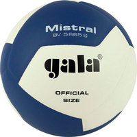 Волейбольный мяч Gala Mistral 12 BV 5665 S (размер 5, белый/синий)