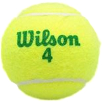 Набор теннисных мячей Wilson Starter Green WRT137400 (4 шт)